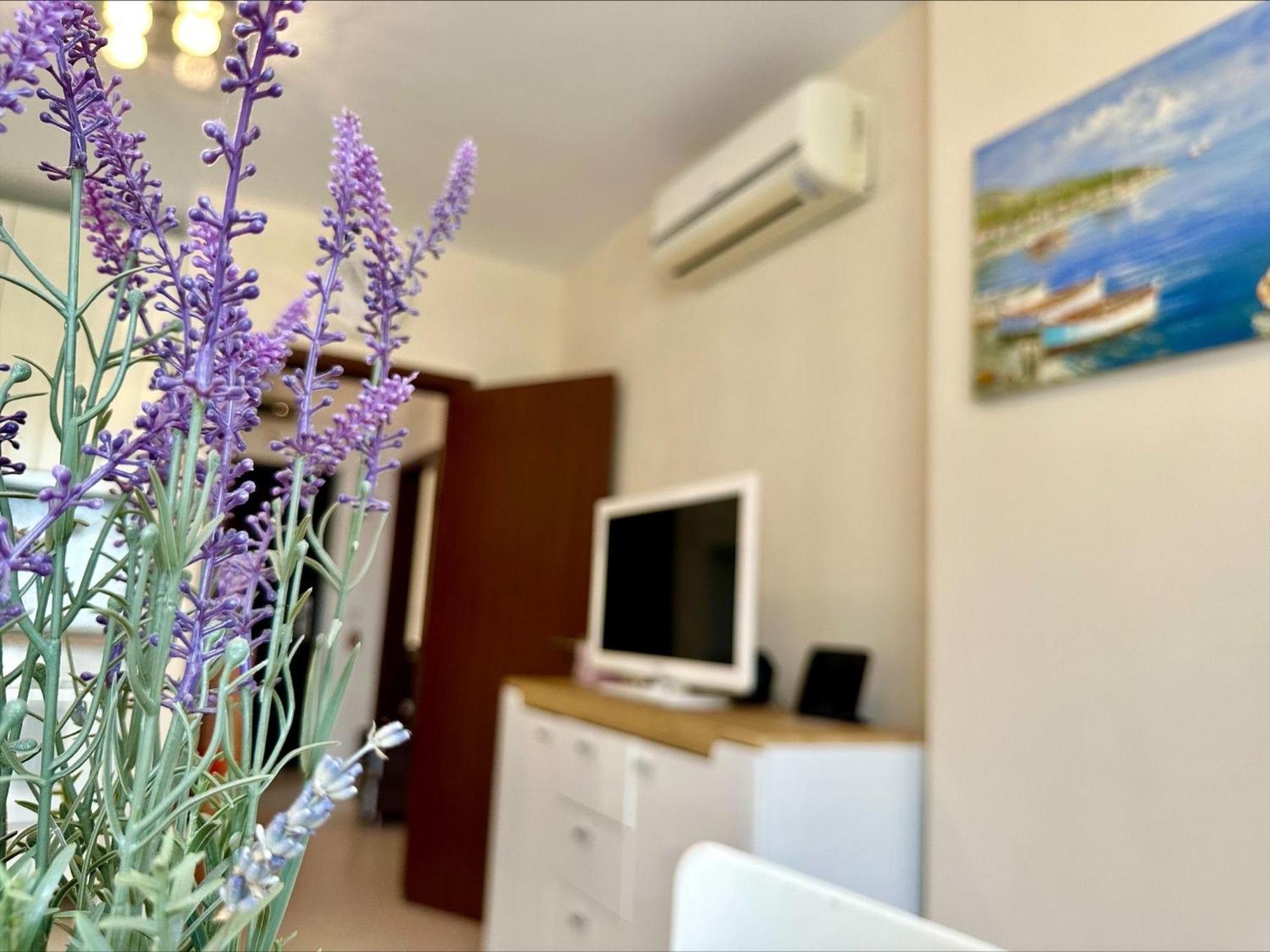 Menada Apartments In Cascadas Slântsjev Brjag Rom bilde